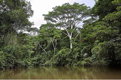 《辐射》电视剧就像是“辐射5” 新海报曝光